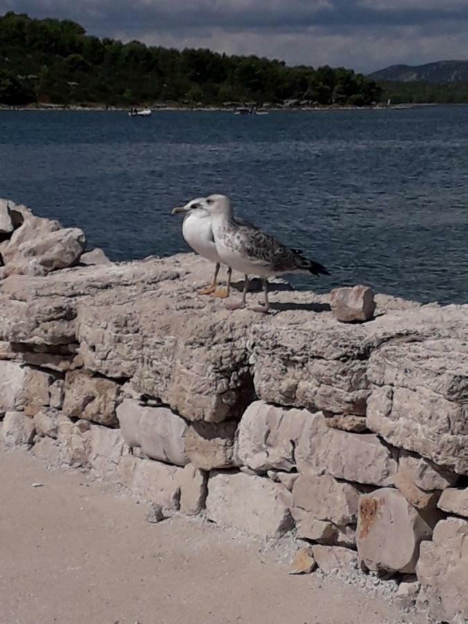 Apartment Matko Betina (Sibenik-Knin)